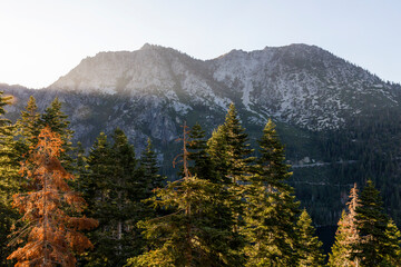 breathtaking view into the forest of emerald bay in Lake Tahoe at sunset, california