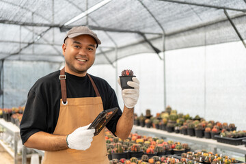 Cactus care harvesting. Farmer Cactus man working in the greenhouse backyard. Happy gardener man in...