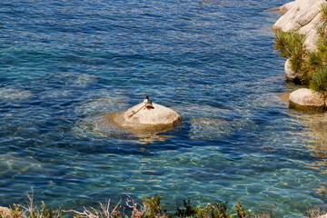 a duck on a little rock at the sand harbor beach, Lake Tahoe Nevada