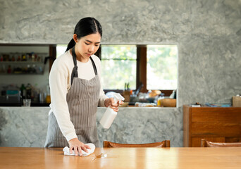 Housewife with apron ready to clean home. Young woman is happy to clean home. Maid cleaning...