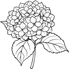 Hydrangea flower plant outline illustration coloring book page design, Hydrangea flower plant black and white line art drawing coloring book pages for children and adults