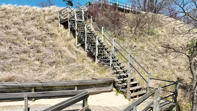 Rising above the great lakes dunes.