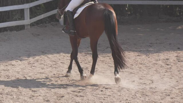 Close-up of the legs of a horse trotting elegantly in equestrian competition. Closeup  120 fps 4k.