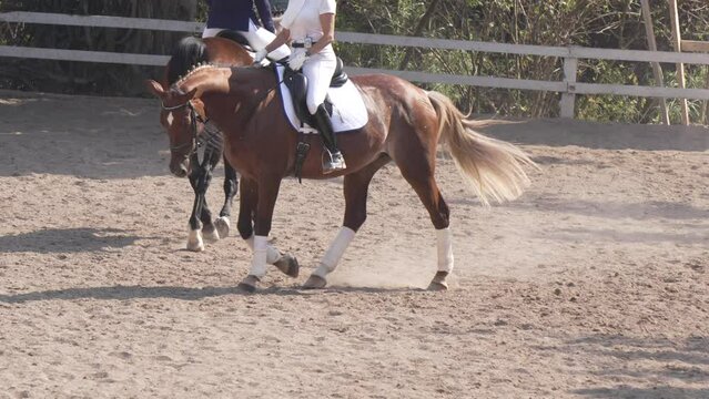 Two riders riding thoroughbred horses in equestrian competition practice. Closeup  120 fps 4k.