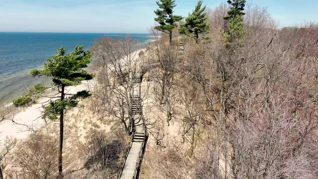 Reverse track and descend with drone near pines.