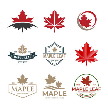 Set of Maple leaf vector logo. Forest and wood symbol sign. Nature tree logo.