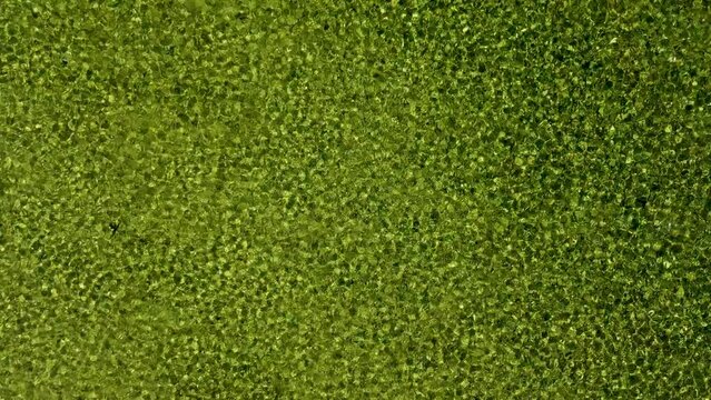 River Traun in Ebensee, Austria, from a birds perspective, shot with a drone