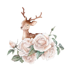 Watercolor baby deer and white roses. Spotted deer isolated on white background. Hand painted wild...
