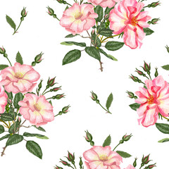 Watercolor seamless pattern with rosehip, Brier leaves and branches.
