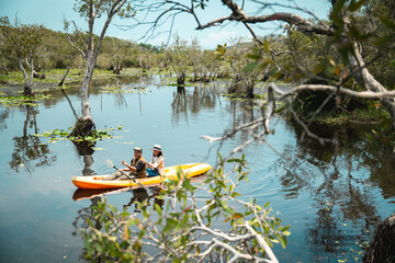 Holiday travel activities. Happy asian couple man and woman rowing a canoe or kayak in mangrove...