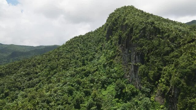 Aerial Scenery of Puerto Rico&rsquo;s El Yunque Jungle