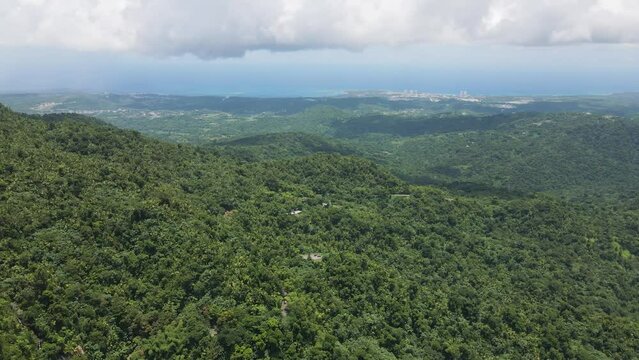 Tropical Landscape of El Yunque, Puerto Rico &ndash; Aerial Perspective