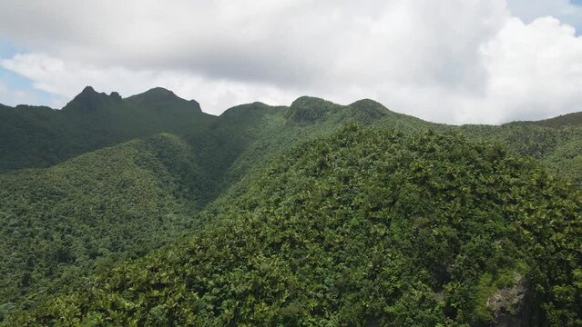 Verdant Canopy of El Yunque Jungle from Above &ndash; Drone Footage