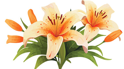Beautiful lily on white background 2d flat cartoon