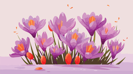 Beautiful Saffron flowers on lilac background 2d fl