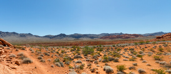 breathtaking panoramic view over the unique landscape of the Valley of Fire State Park, Nevada