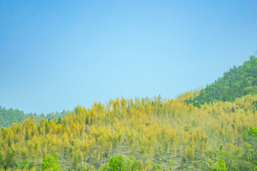 Obraz premium Martin Highway, Lu'an City, Anhui Province - winding mountain scenery against the blue sky