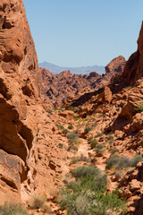 a hiking path through the unique and colorful sandstone rock formations of the valley of fire state park, nevada