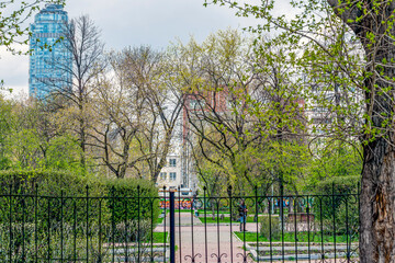 A fragment of a city park on a spring day