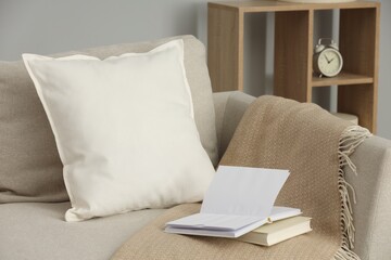 Soft white pillow, blanket and books on sofa indoors