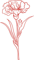 Line art of carnation flower for Mother's Day design element object.
