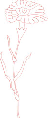 Line art of carnation flower for Mother's Day design element object.