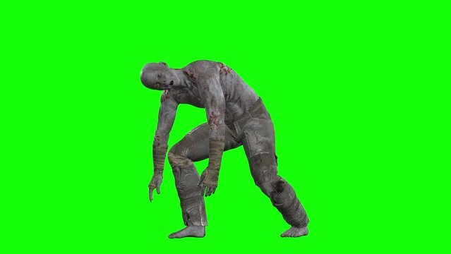 3D male zombie standing idle on green screen seamless loop 3D animation, side view. You can easily key out (remove) the green screen with just one click using any video editor.