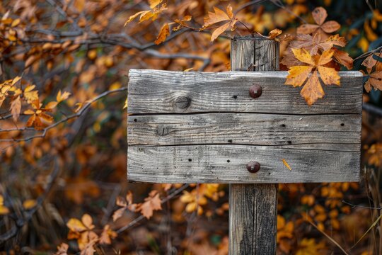 A wooden signpost placed in front of a tree adorned with autumn leaves, creating a rustic and seasonal scene