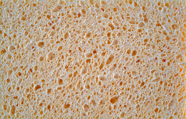 arrière plan couleur beige, texture éponge végétale
