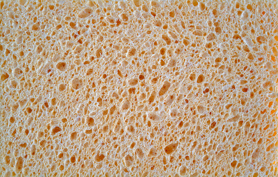 arrière plan couleur beige, texture éponge végétale - Powered by Adobe