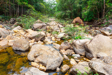 Stream in the tropical jungles of South East Asia