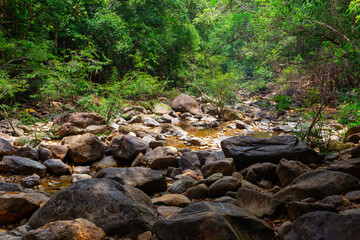 Stream in the tropical jungles of South East Asia