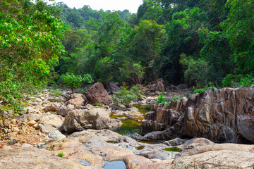 Obraz premium Stream in the tropical jungles of South East Asia