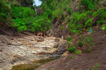 Stream in the tropical jungles of South East Asia