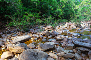 Stream in the tropical jungles of South East Asia