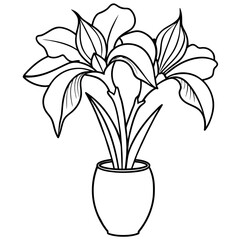 Iris flower on the vase outline illustration coloring book page design, Iris flower on the vase black and white line art drawing coloring book pages for children and adults