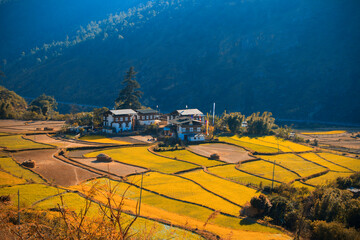 Life in Bhutan, the traditional way of farming and living