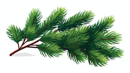 Christmas tree branch on white background 2d flat c