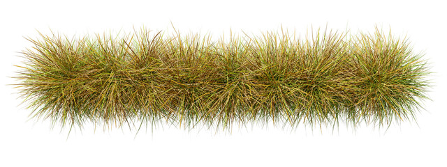 Aerial view savanna farming grass row realistic on transparent backgrounds 3d rendering png © Krit