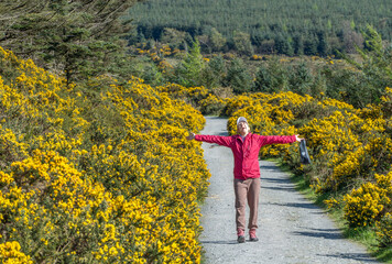 Happy female hiker raising her arms in the air with joy on a mountain trail surrounded by yellow flowers