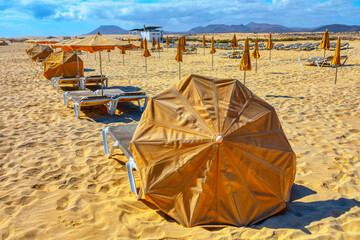 Sun loungers and umbrellas on the sandy beach. Sunny sandy shore of Fuerteventura, Canary Islands