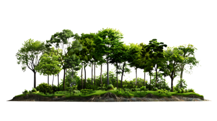 Isolated forest scene, for forest theme or nature themed decoration