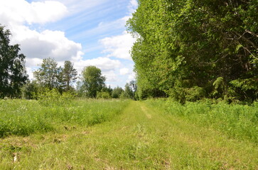 Grass road