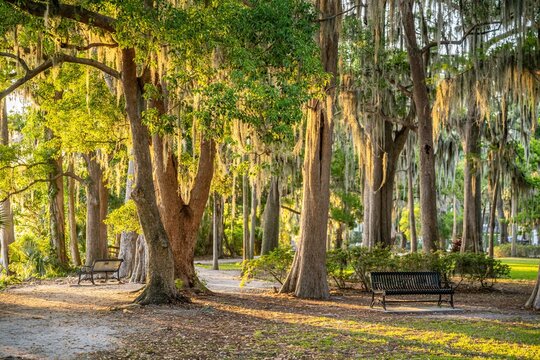 winter park, florida