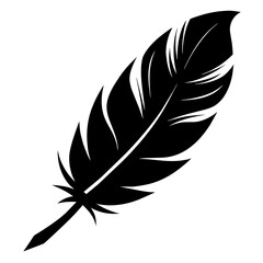 Obraz premium silhouette of a feather