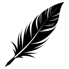 Obraz premium silhouette of a feather