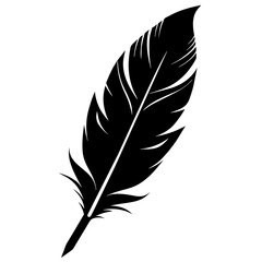 Obraz premium silhouette of a feather