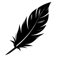 silhouette of a feather