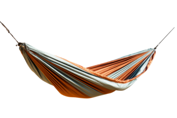 The Serene Swing of Solitude. On a White or Clear Surface PNG Transparent Background.