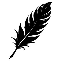 Obraz premium silhouette of a feather
